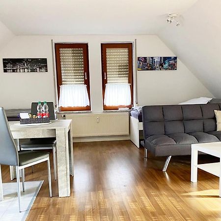 Schoenes 1 Zimmer Apartment Mit Dachterrasse Глаухау Экстерьер фото