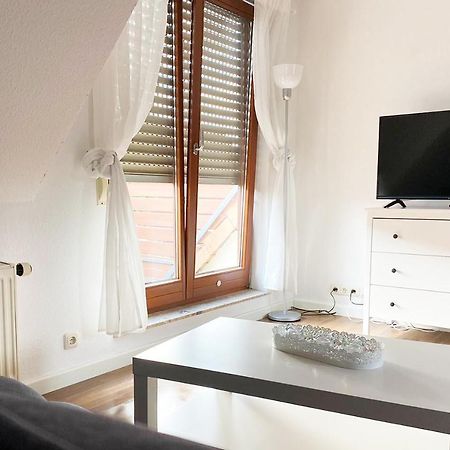 Schoenes 1 Zimmer Apartment Mit Dachterrasse Глаухау Экстерьер фото